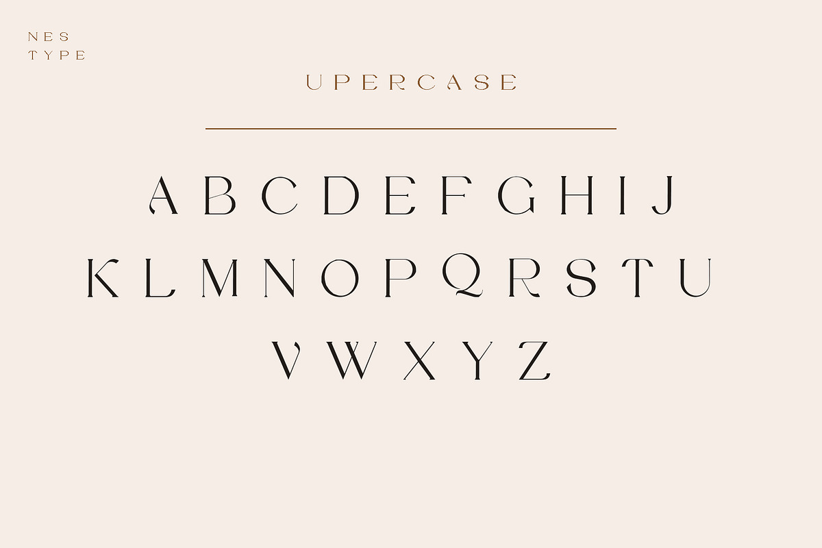 Vilaka Modern Serif, a Serif Font by Nestype (Photo 3 of 10)
