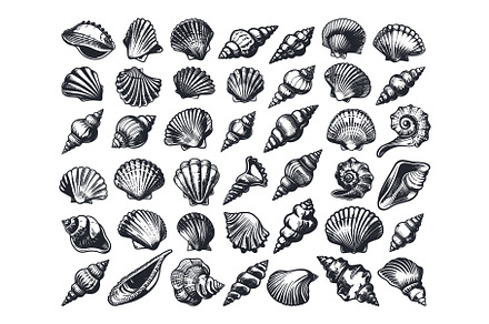 Sea Shells Icons Set Vector Graphic, an Animal Illustration by LadadikArt