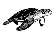 50 Sea Turtle Vector Silhouette Bund, an Illustration by jahid234 (Thumbnail 51 of 51)