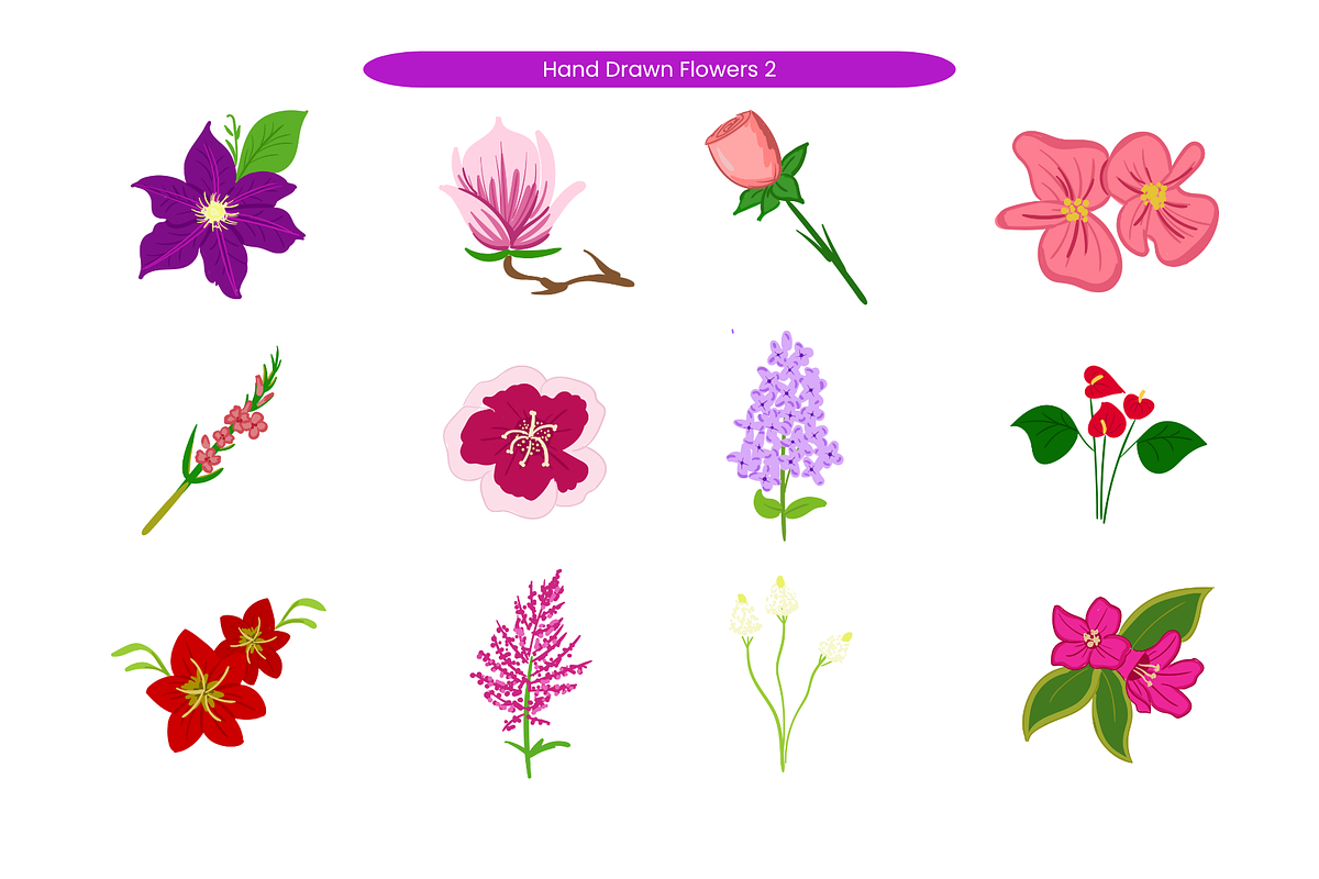 Hand Drawn Flowers, a Decorative Illustration by Creathub Studio (Photo 2 of 3)