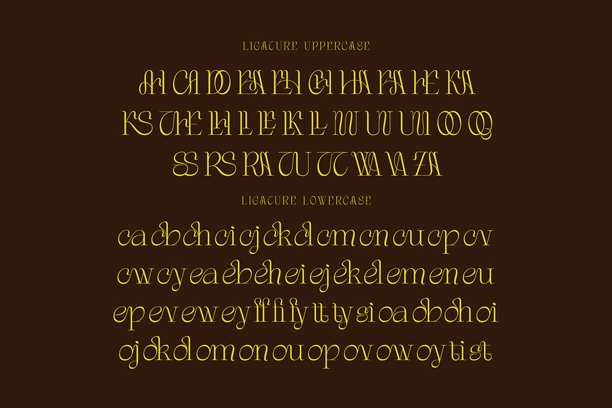 Gordon Tucker Stylish Serif, a Serif Font by Cruzine (Photo 5 of 8)