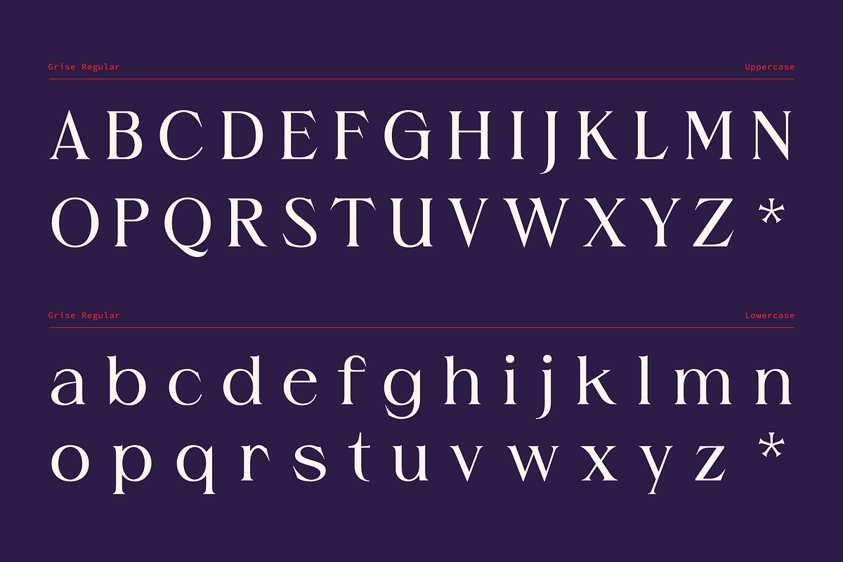 Grise - Variable Serif (18 Fonts), a Serif Font by VectorKiss GraphicsSupply (Photo 9 of 18)