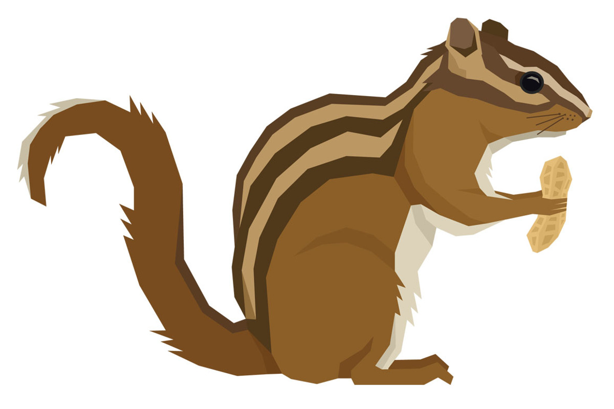 Chipmunk Forest Wildlife set, an Object Graphic by Nenilkime (Photo 2 of 7)