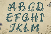 Aerisfly - Butterflies & Floral, a Script Font by HypeWorksCo (Thumbnail 14 of 17)