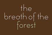 Hutan. Beautiful modern font., a Sans Serif Font by LostandFoundry (Thumbnail 3 of 8)