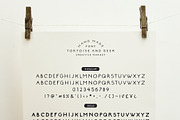 Tortoise and Deer Design Kit, a Branding & Logo Template by Emma Make (Thumbnail 9 of 12)
