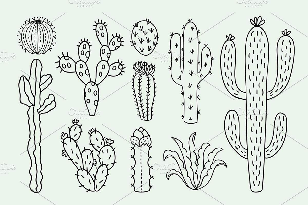 Cactus collection, an Illustration by Redchocolate (Photo 3 of 6)