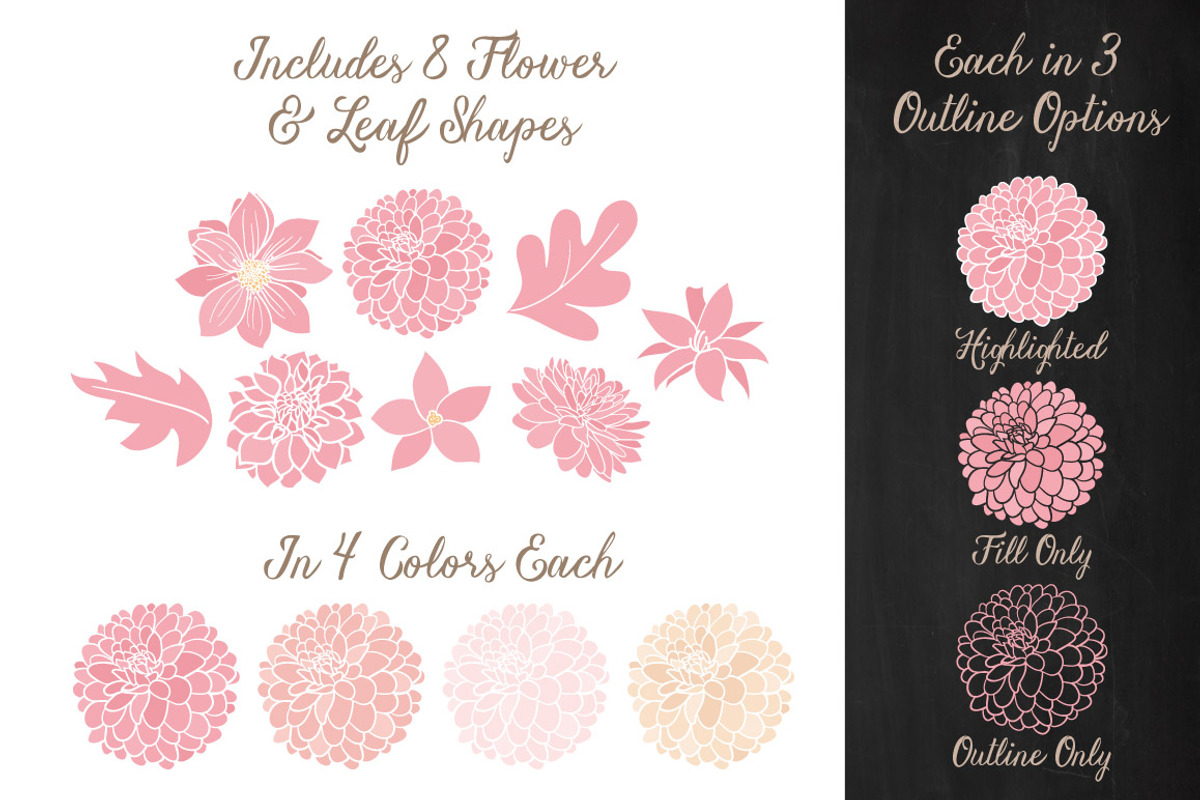 Soft Pink Dahlia Clipart & Vectors, an Illustration by Amanda Ilkov (Photo 3 of 4)