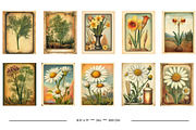 Vintage Garden Packets, a Seasonal Illustration by karenfoleyphoto (Thumbnail 5 of 15)