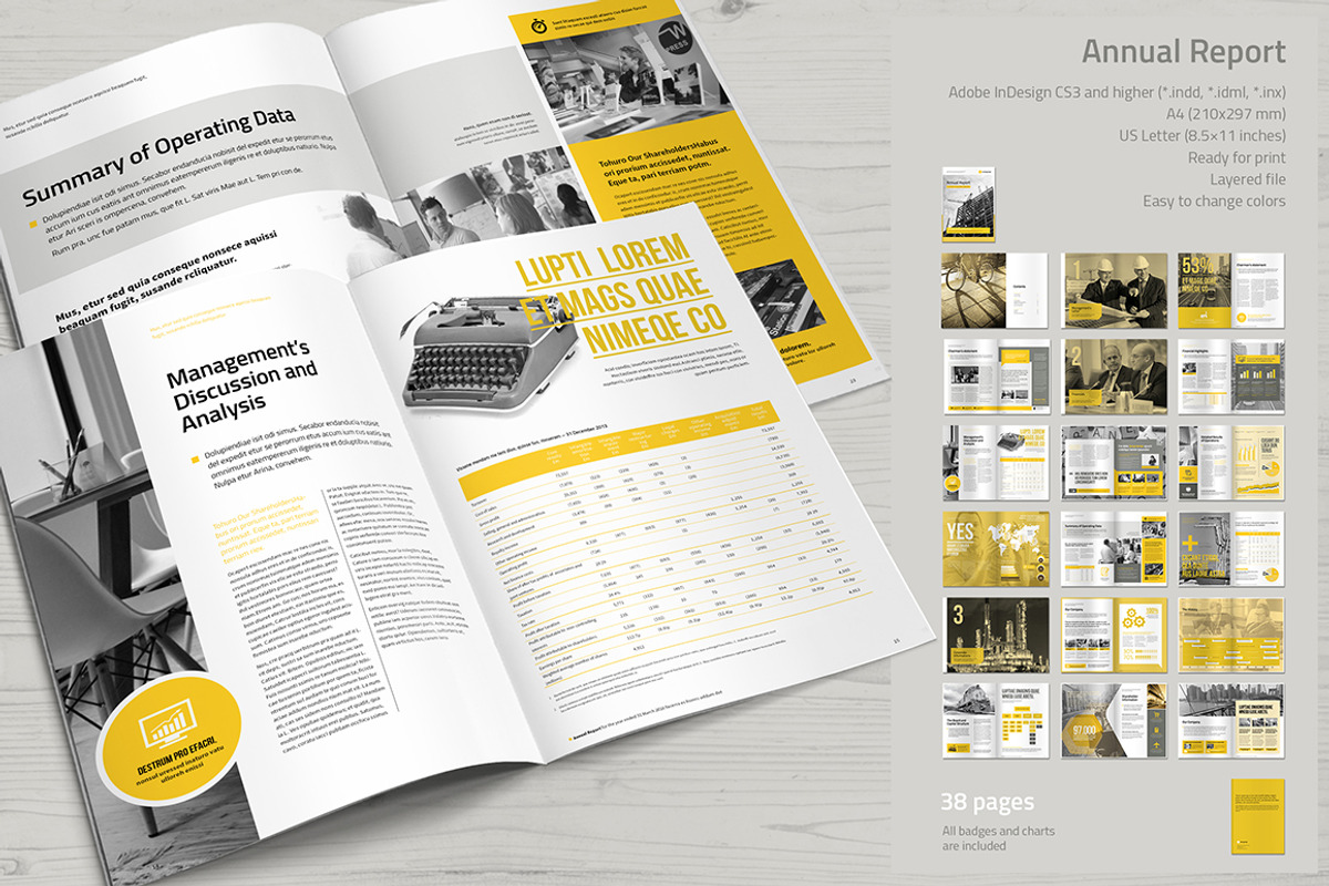Annual Report, a Brochure Template by MrTemplater (Photo 3 of 4)
