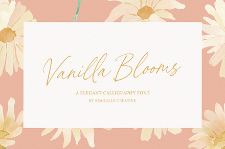 Vanilla Blooms Elegant Calligraphy, a Script Font by Seagulls Creative