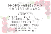 February | Script Font, a Handwritten Font by Scratchones (Thumbnail 7 of 9)