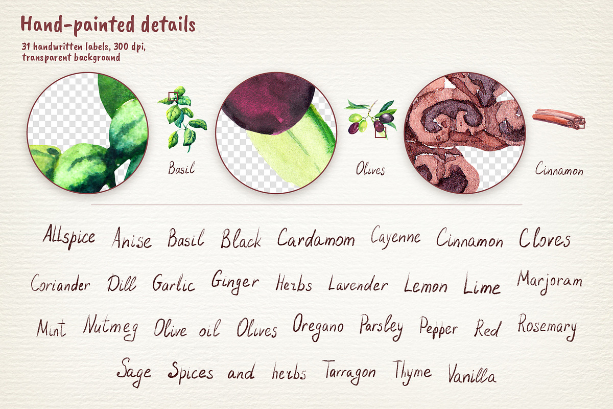 Herbs & Spices Watercolor Clipart, a Food Illustration by Where summer is (Photo 3 of 11)