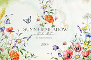 SUMMER MEADOW wildflower watercolor, a Decorative Illustration by Yuliya Derbisheva (Thumbnail 1 of 16)