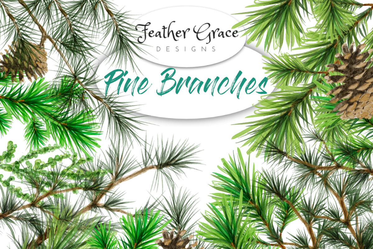 Pine Branches, an Illustration by Feather Grace Designs (Photo 2 of 6)