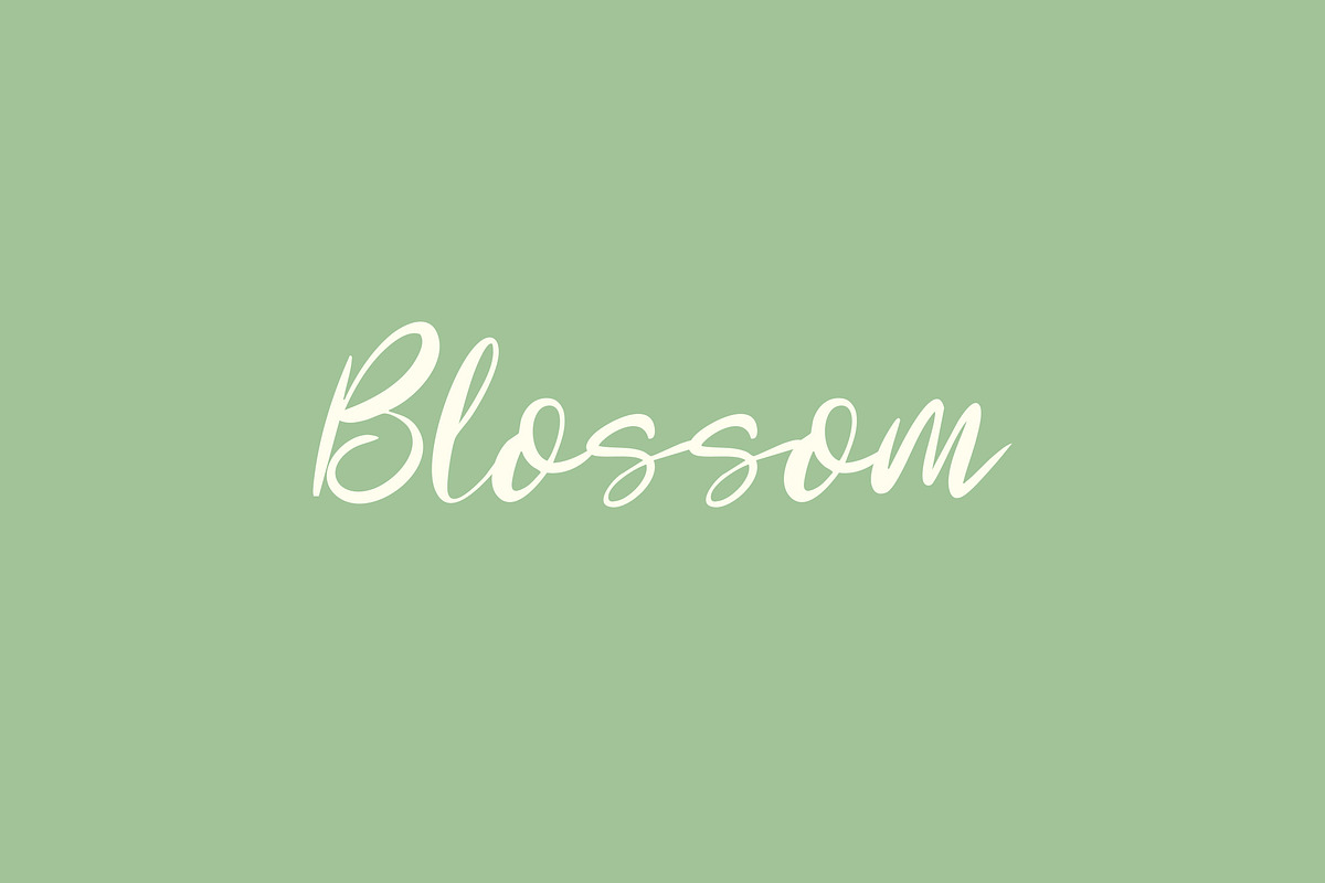 Imote Feminine Script Font, a Script Font by NTC Graphic (Photo 2 of 8)