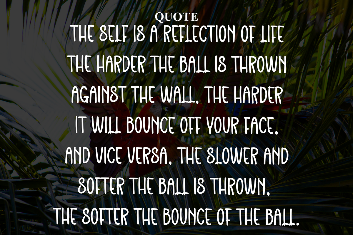 Website, a Script Font by InermediaSTUDIO (Photo 5 of 6)