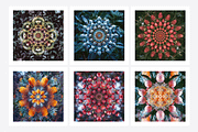 Muit Co · Retro Fruit Mandalas, a Food Illustration by milatovar (Thumbnail 3 of 22)