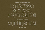 NT Epika, a Serif Font by nevsky.type (Thumbnail 3 of 10)