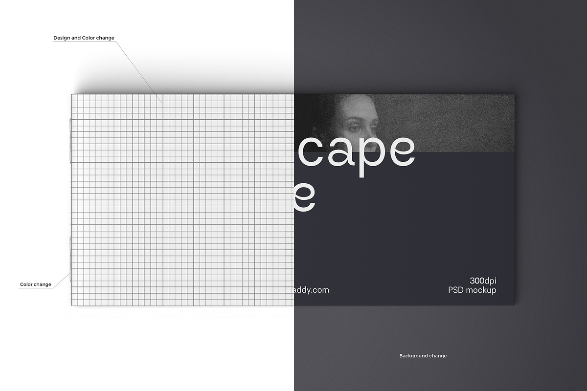 DL Landscape Brochure Mockup, a Product Mockup by Mockupdaddy (Photo 4 of 15)