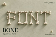 Bone Font, a Serif Font by Handmadefont (Thumbnail 15 of 15)