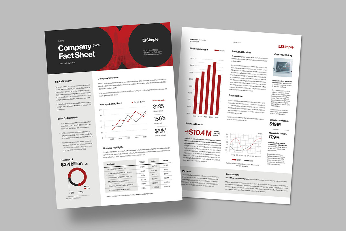 Company Fact Sheet Template, a Flyer Template by BrandPacks (Photo 5 of 5)