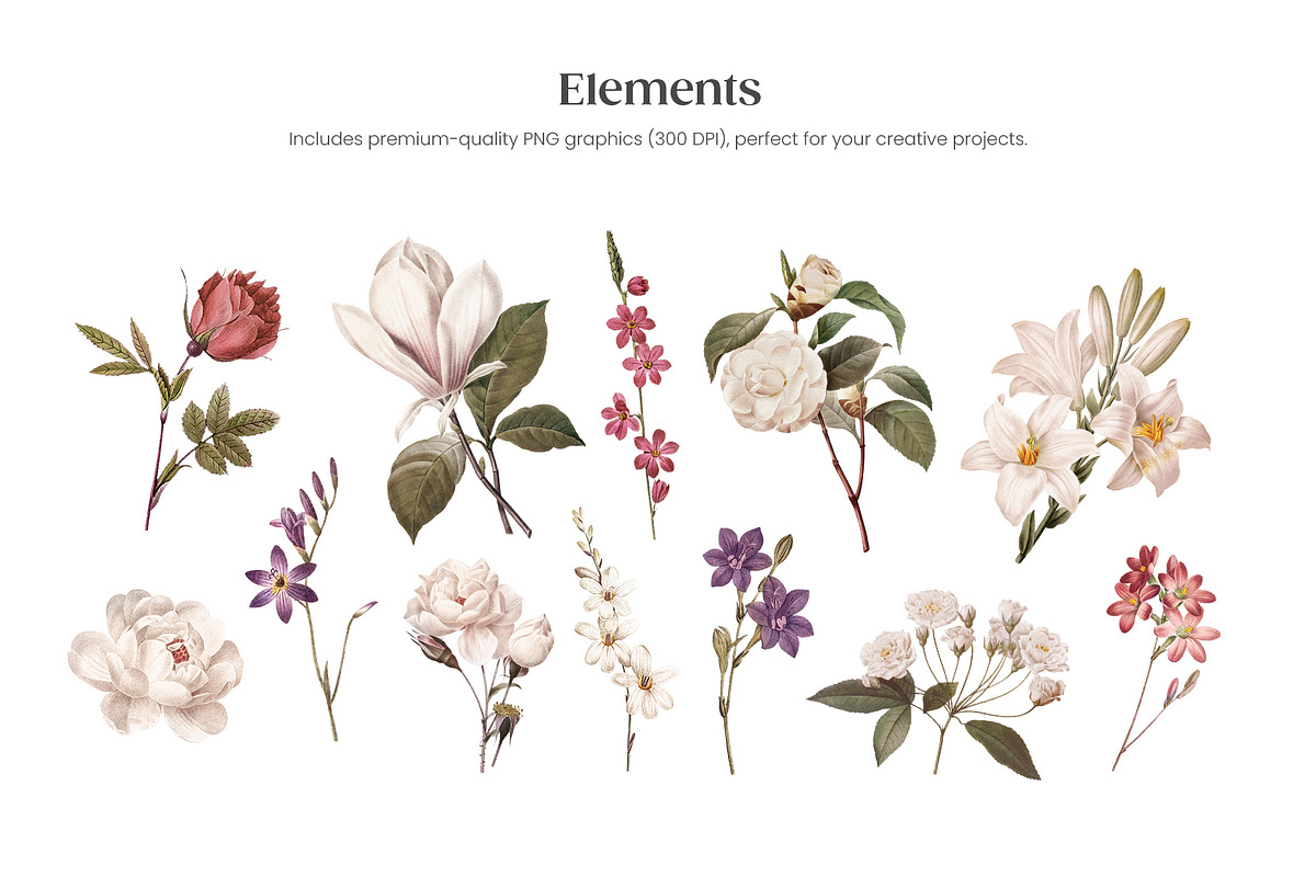 Petal Whisper Romantic Pattern, a Pattern Graphic by Yello_illustration (Photo 5 of 16)