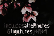 Gumball sans serif font, a Sans Serif Font by Ana's Fonts (Thumbnail 3 of 7)