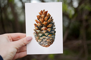 Fir Cones Watercolor Clipart. AI