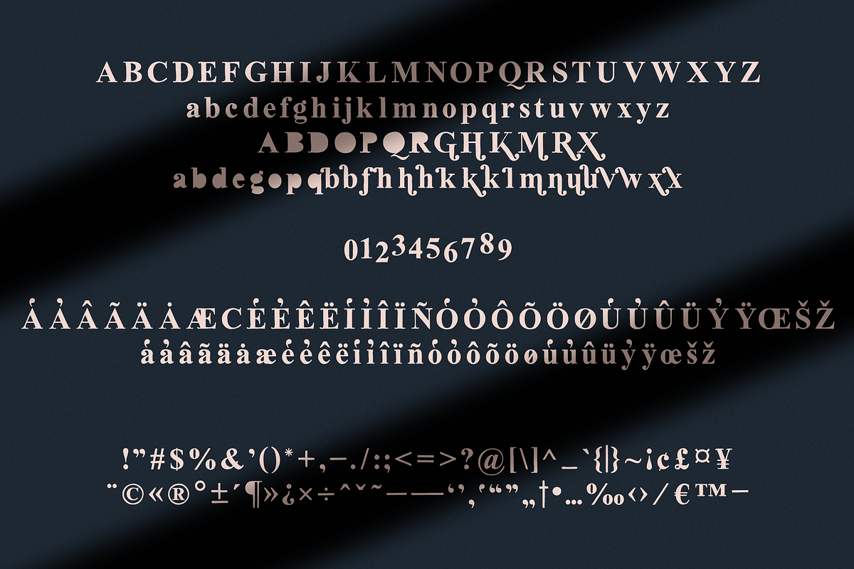 Oldink - handwritten serif typeface, a Serif Font by VP Fonts (Photo 8 of 10)