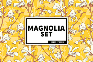 Magnolia flowers blooming set