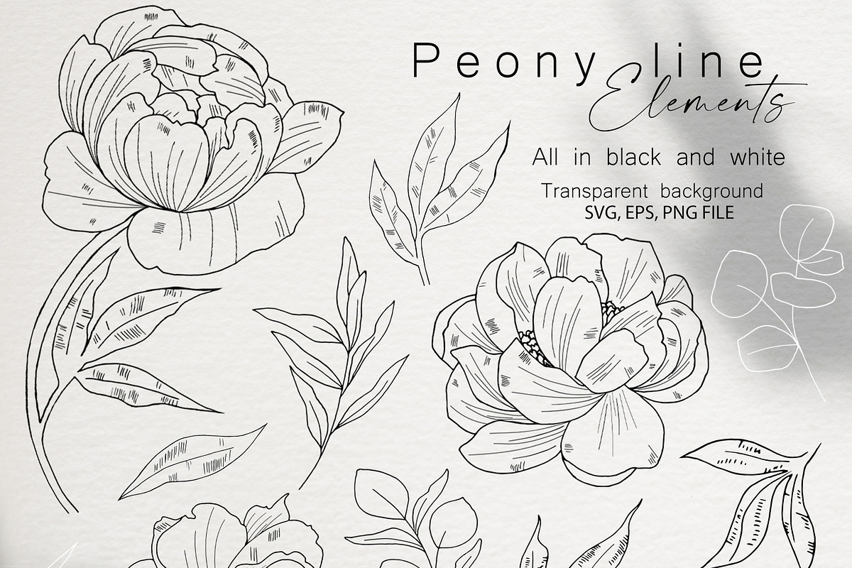 Peony Line Illustration - Flower Art, an Illustration by Ooh Lily (Photo 2 of 12)