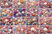 Colorful Seashells Wallpaper, a Texture Graphic by Forhadx5 (Thumbnail 4 of 4)