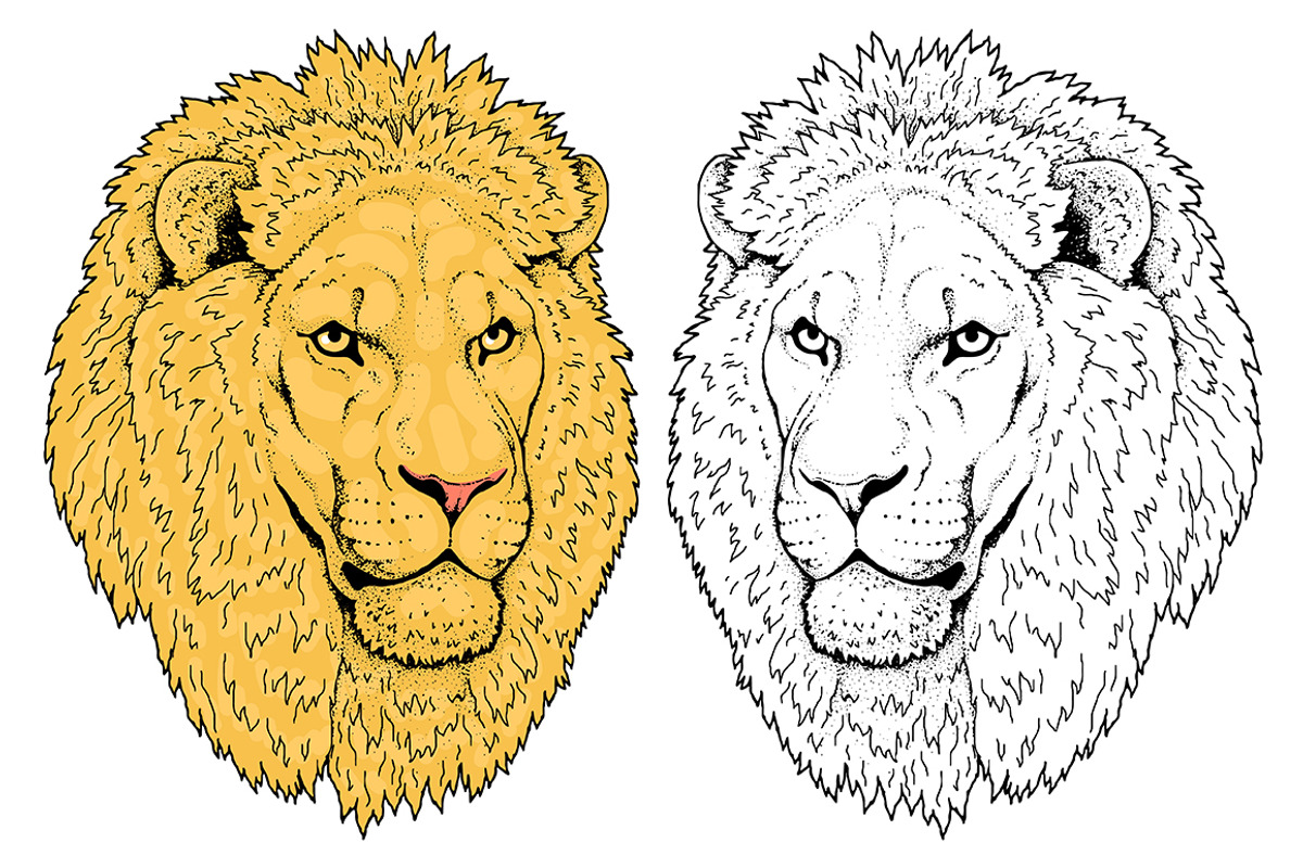 LIONS set, an Animal Illustration by Tanya Akhmett (Photo 2 of 5)