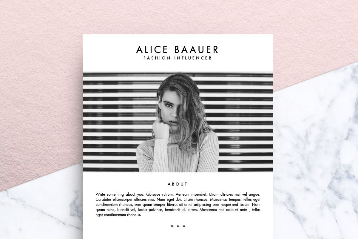 Blog Media / Press Kit Template, a Presentation Template by Priiiiiiiiiiiiiint ! (Photo 2 of 2)