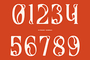 Trouble – Melted Serif Font, a Serif Font by Craft Supply Co. (Thumbnail 4 of 8)