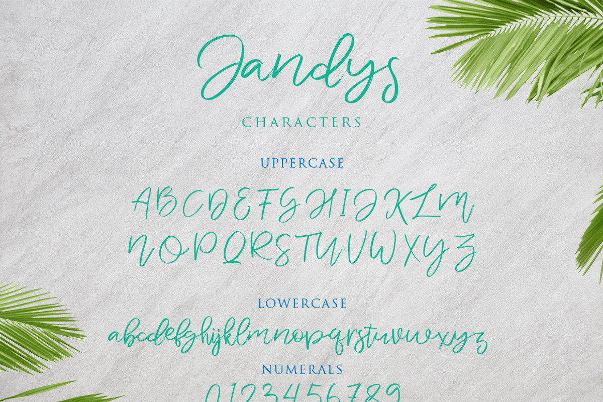 Jandys Typeface preview 6