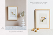 Arctic Life watercolor collection, an Animal Illustration by Diana Askarova Art (Thumbnail 3 of 11)