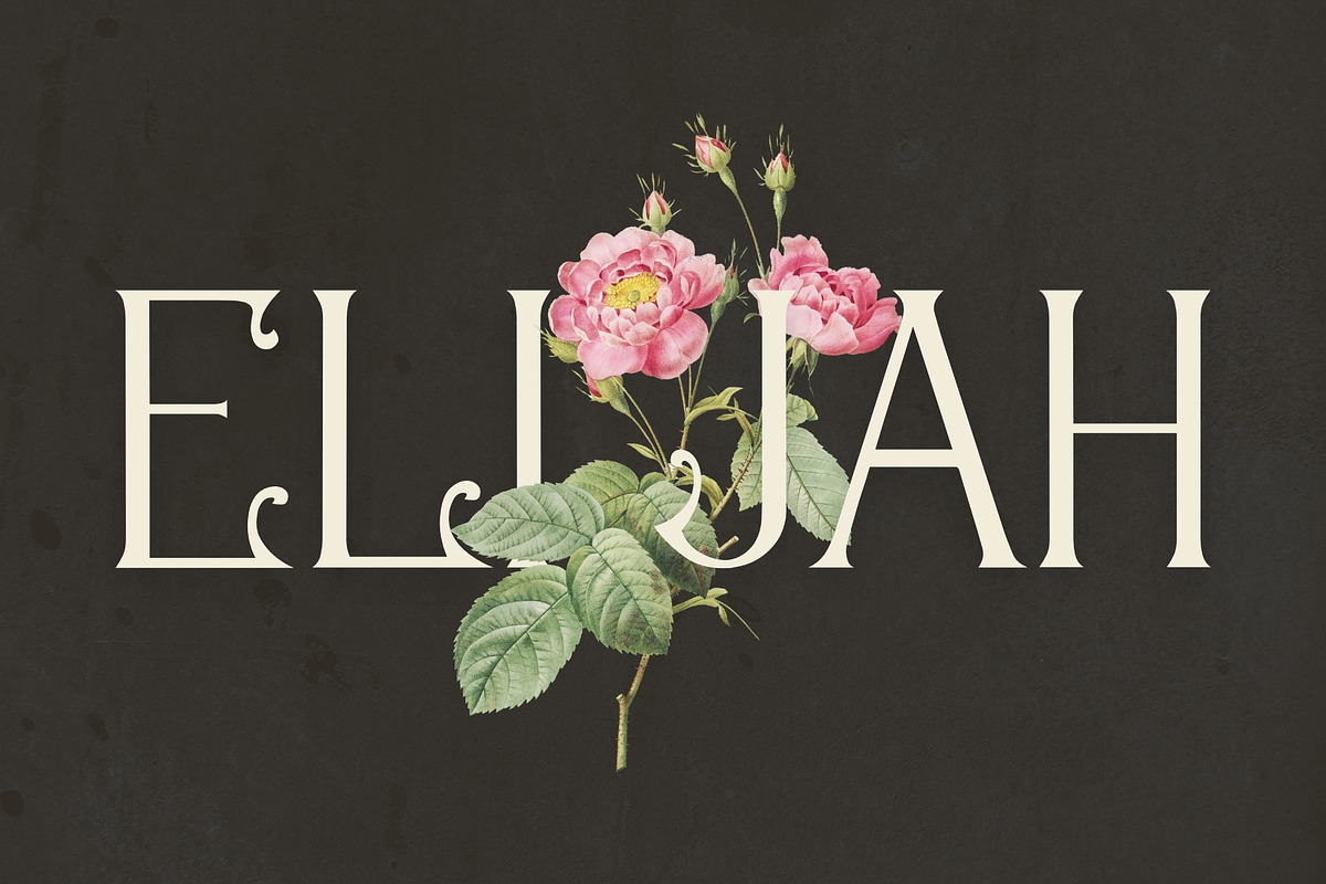 Ageless Heritage - 1900's Typeface, a Serif Font by HipFonts (Photo 7 of 7)