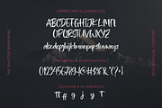 The Shutter Breathing - Brush Font, a Handwritten Font by figuree studio (Thumbnail 4 of 10)