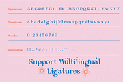 Ralagowr, a Serif Font by Portion.Labs (Thumbnail 9 of 10)