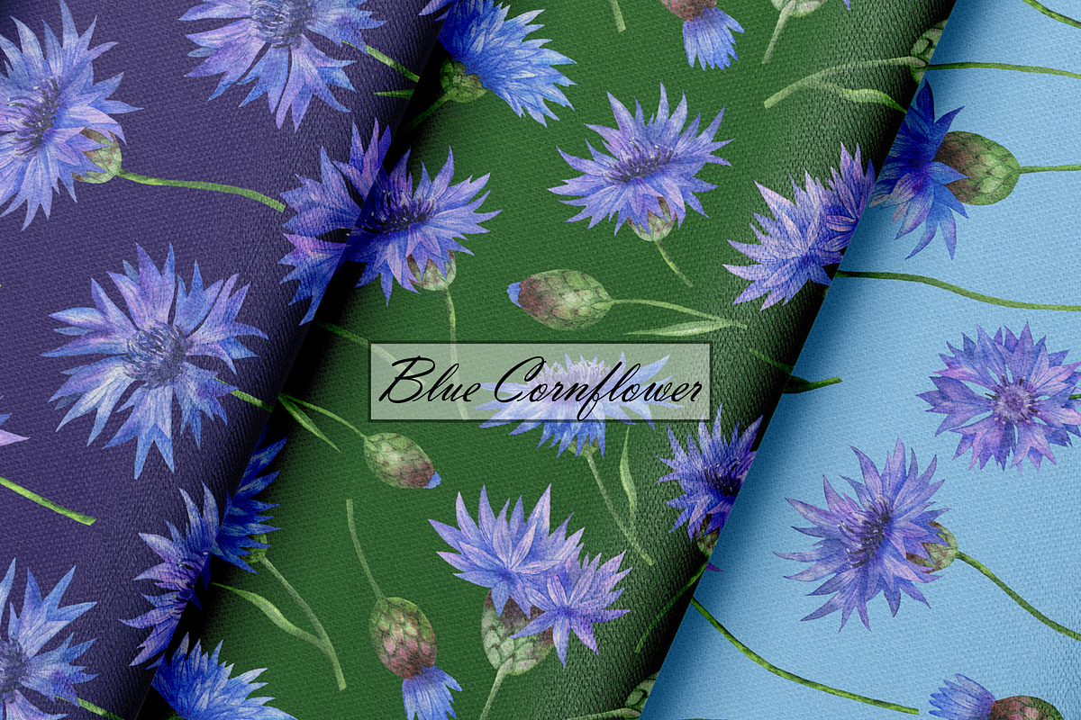 Watercolor Cornflower Patterns, an Illustration by OlDm_Shop (Photo 5 of 10)