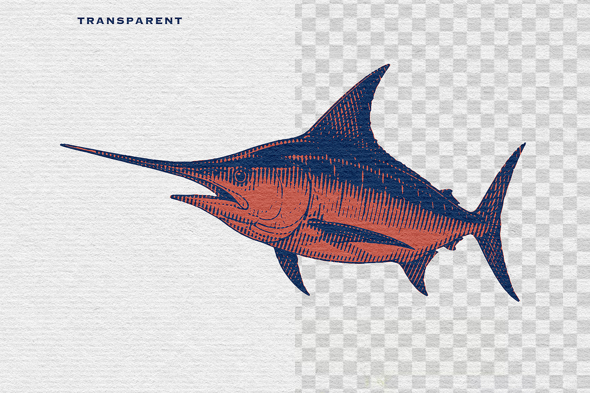 Vintage Fish Engraving, an Animal Illustration by Kaizla03 (Photo 4 of 7)