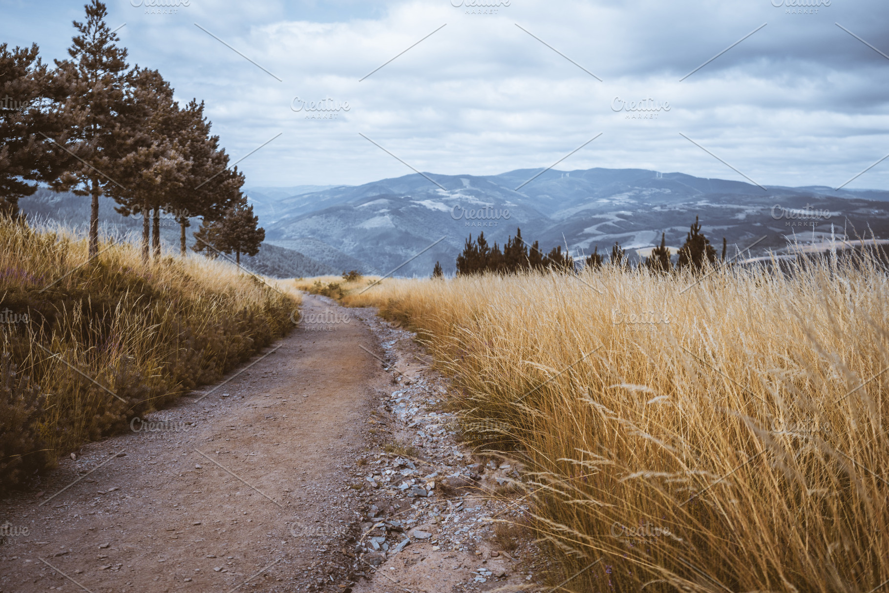 Mountain trail through golden grass, a Nature Photo by SkyNext