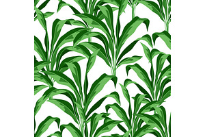 Seamless Pattern With Tropical Plant