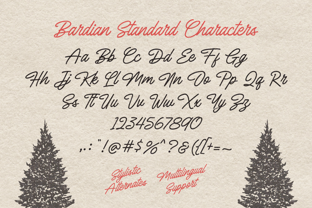 Bardian - Monoline Script, a Script Font by Letterhend Studio (Photo 5 of 9)