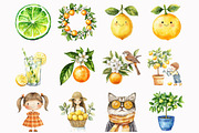 Citrus Fruit Clipart, an Illustration by Design Market (Thumbnail 2 of 5)
