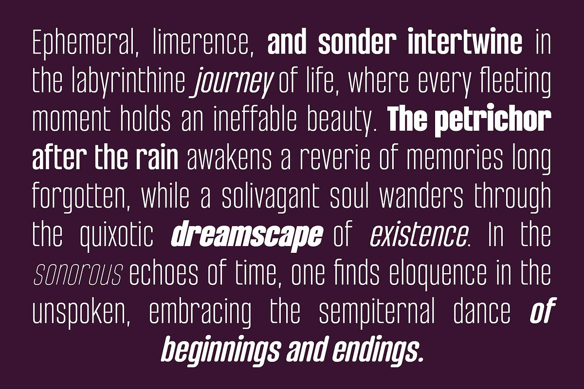 Bondia - Condensed Family, a Sans Serif Font by Arterfak Project (Photo 13 of 15)