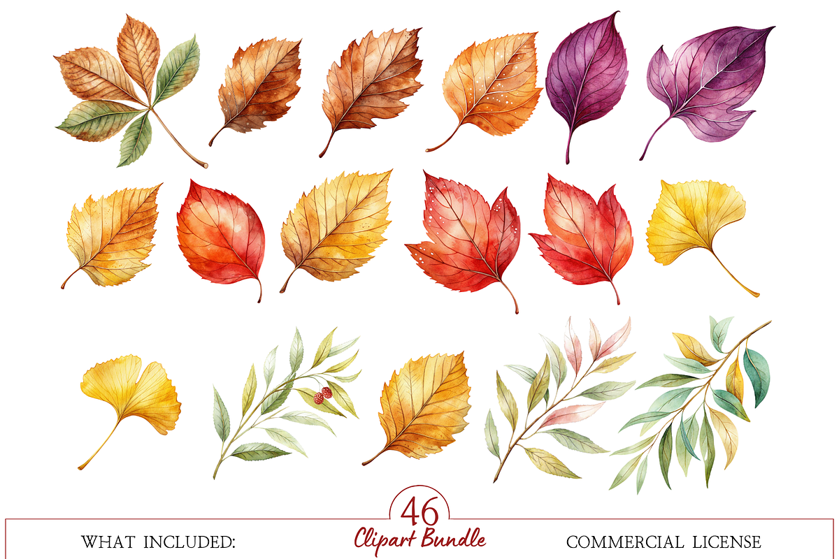 Autumn Leaves Clipart, a Decorative Illustration by MockupWizard (Photo 3 of 5)