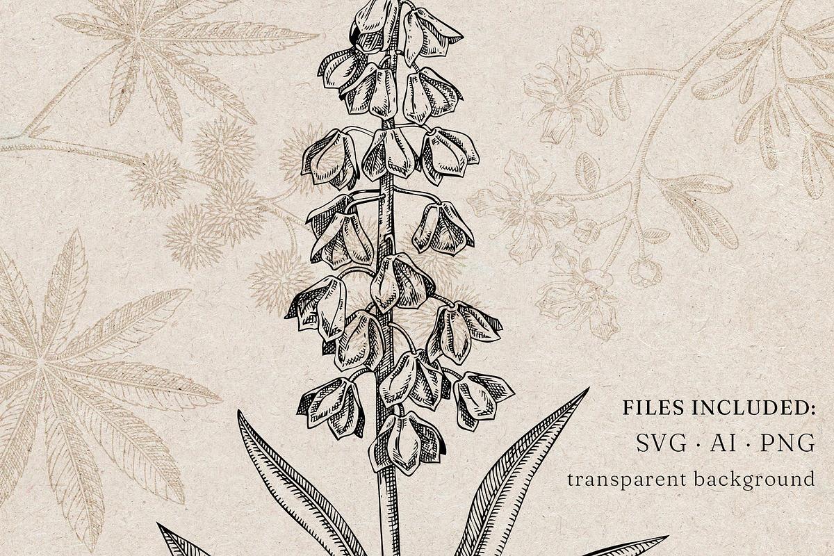 Poisonous Plant Vector Illustrations, an Object Graphic by Yevheniia (Photo 6 of 11)